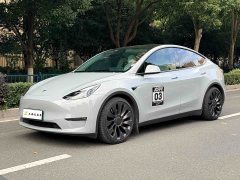 Tesla Model Y Performance All-Wheel Drive - ფოტო 1