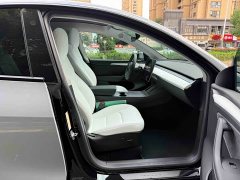 Tesla Model Y Performance All-Wheel Drive - ფოტო 11