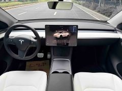 Tesla Model Y Performance All-Wheel Drive - ფოტო 13