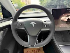Tesla Model Y Performance All-Wheel Drive - ფოტო 14