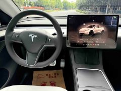 Tesla Model Y Performance All-Wheel Drive - ფოტო 15