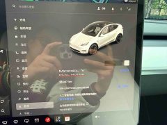 Tesla Model Y Performance All-Wheel Drive - ფოტო 18