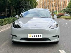 Tesla Model Y Performance All-Wheel Drive - ფოტო 2