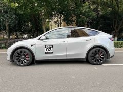 Tesla Model Y Performance All-Wheel Drive - ფოტო 5