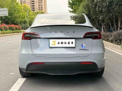 Tesla Model Y Performance All-Wheel Drive - ფოტო 9