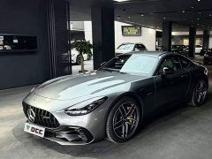 Mercedes-Benz AMG GT AMG GT 50 - фото 1