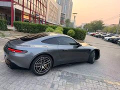 Mercedes-Benz AMG GT AMG GT 50 - фото 10