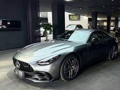 Mercedes-Benz AMG GT AMG GT 50 - фото 9