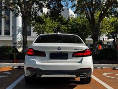 BMW 5 Series Facelift 530Li Premier M Sport Package - фото 8