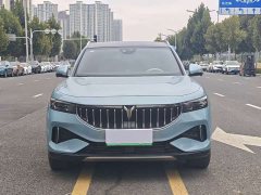 Voyah Lantu FREE Four-Wheel Drive Standard Extended Range Exclusive Luxury Package - фото 2