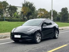 Tesla Model Y Long Range All-Wheel Drive - ფოტო 1