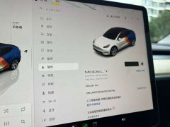 Tesla Model Y Long Range All-Wheel Drive - ფოტო 15