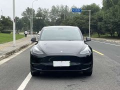 Tesla Model Y Long Range All-Wheel Drive - ფოტო 3