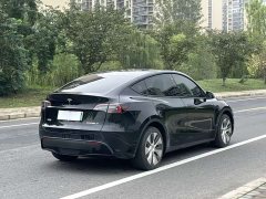 Tesla Model Y Long Range All-Wheel Drive - ფოტო 5