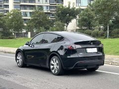 Tesla Model Y Long Range All-Wheel Drive - ფოტო 6