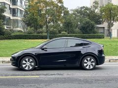 Tesla Model Y Long Range All-Wheel Drive - ფოტო 7