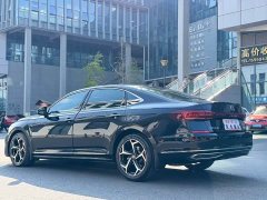 Volkswagen Passat 380TSI Starry Sky Dragon Prestige Edition - ფოტო 7