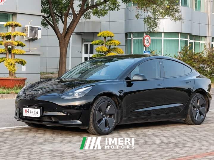 Tesla Model 3 Standard Range RWD Upgrade