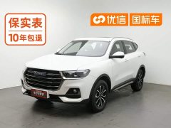 Haval H6 National Trend Edition 1.5T Automatic Urban Version - photo 1