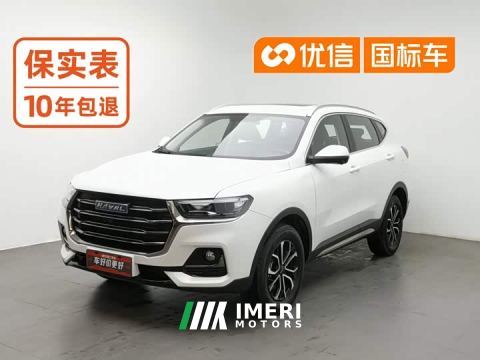 2023 Haval H6 National Trend Edition 1.5T Automatic Urban Version