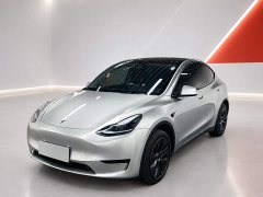 Tesla Model Y Rear-Wheel Drive - ფოტო 1