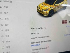 Tesla Model Y Rear-Wheel Drive - ფოტო 10