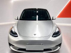 Tesla Model Y Rear-Wheel Drive - ფოტო 2