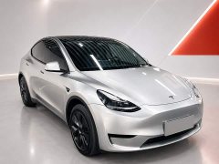 Tesla Model Y Rear-Wheel Drive - ფოტო 3
