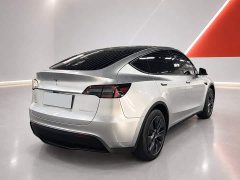 Tesla Model Y Rear-Wheel Drive - ფოტო 6