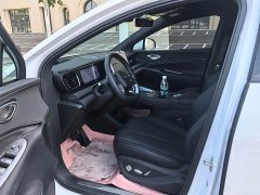 BYD Sealion 06 DM-i 205 Pilot Plus - ფოტო 3