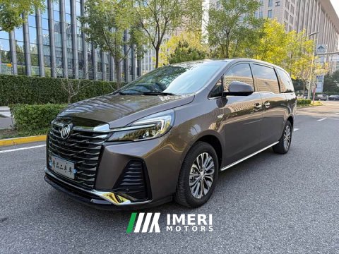2023 Buick GL8 Land Executive Cabin Premium - ავტომობილი ჩინეთიდან