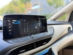 Buick GL8 Land Executive Cabin Premium - ფოტო 15