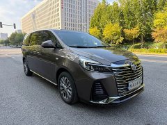 Buick GL8 Land Executive Cabin Premium - ფოტო 3