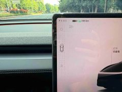 Tesla Model Y Long Range All-Wheel Drive - ფოტო 17