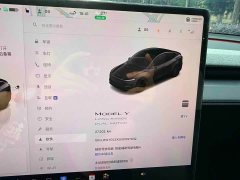 Tesla Model Y Long Range All-Wheel Drive - ფოტო 18