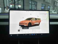 Tesla Model Y Rear-Wheel Drive - ფოტო 11