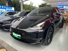 Tesla Model Y Rear-Wheel Drive - ფოტო 1