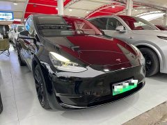 Tesla Model Y Rear-Wheel Drive - ფოტო 3