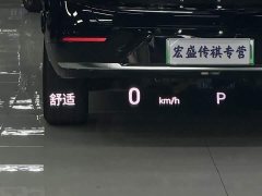 GAC Aion GS8 Dual Engine 2.0T M Two-Wheel Drive Luxury Edition (6-Seater) - photo 14
