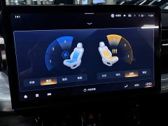 GAC Aion GS8 Dual Engine 2.0T M Two-Wheel Drive Luxury Edition (6-Seater) - photo 17