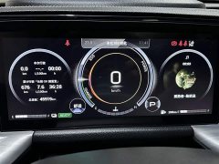 GAC Aion GS8 Dual Engine 2.0T M Two-Wheel Drive Luxury Edition (6-Seater) - photo 18
