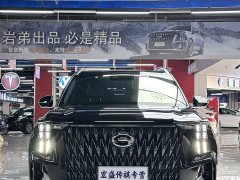 GAC Aion GS8 Dual Engine 2.0T M Two-Wheel Drive Luxury Edition (6-Seater) - photo 3