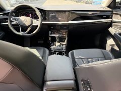 Volkswagen Passat 380TSI Starry Sky Dragon Ascendant Edition - фото 9