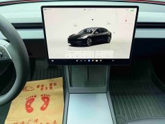 Tesla Model 3 Rear-Wheel Drive - ფოტო 16