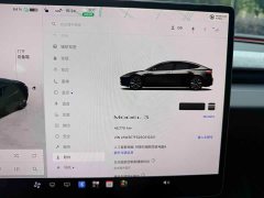 Tesla Model 3 Rear-Wheel Drive - ფოტო 18