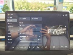 Denza D9 DM-i 970 AWD Flagship - ფოტო 12
