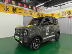 Geely Panda 210km Panda Knight - ფოტო 1