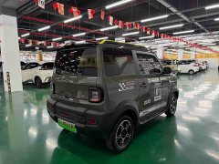 Geely Panda 210km Panda Knight - ფოტო 9