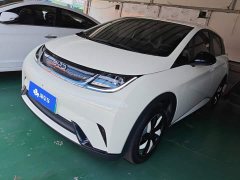 BYD Dolphin Glory Edition 420km Freedom Version - ფოტო 1