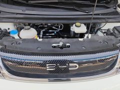 BYD Dolphin Glory Edition 420km Freedom Version - ფოტო 10